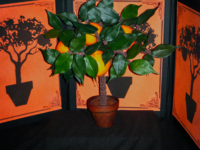 orange-tree.jpg